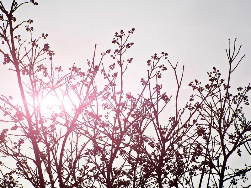 sudoku training mode screenshot 1